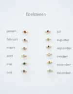 Armband met 2 bedels